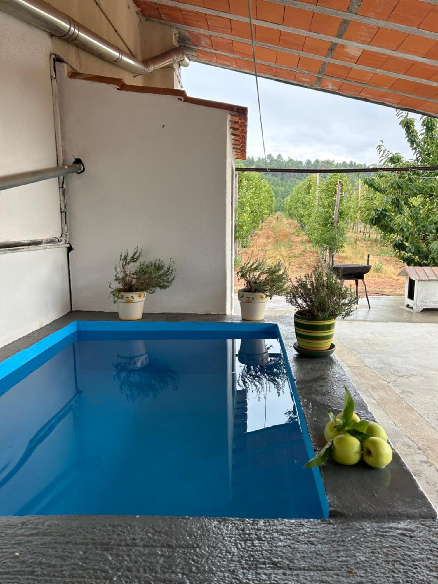 Casa Vicente Villa Lamego Exterior photo