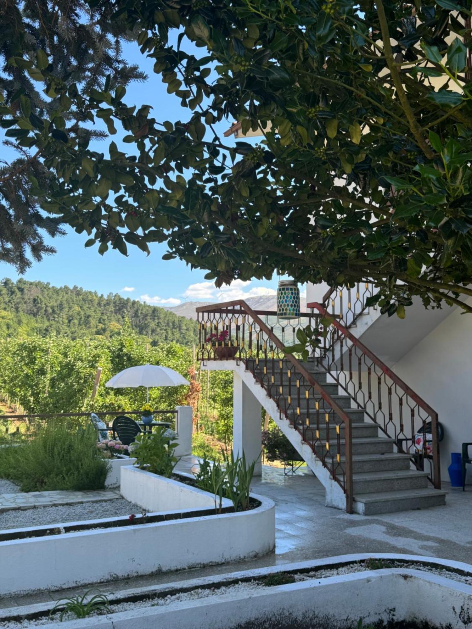 Casa Vicente Villa Lamego Exterior photo