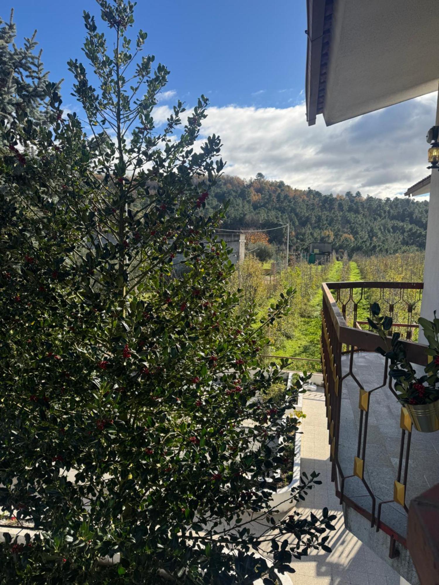 Casa Vicente Villa Lamego Exterior photo